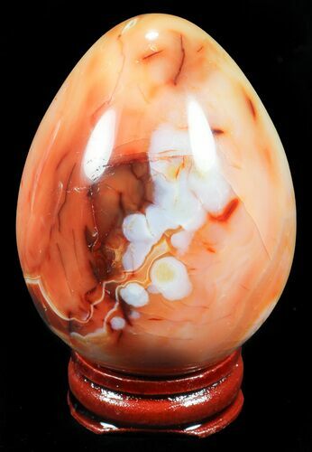 Colorful Carnelian Agate Egg #55551
